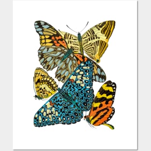 Butterflies Watercolor #15 Posters and Art